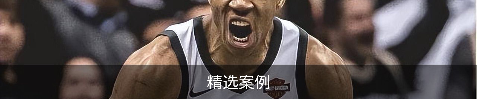 精选案例